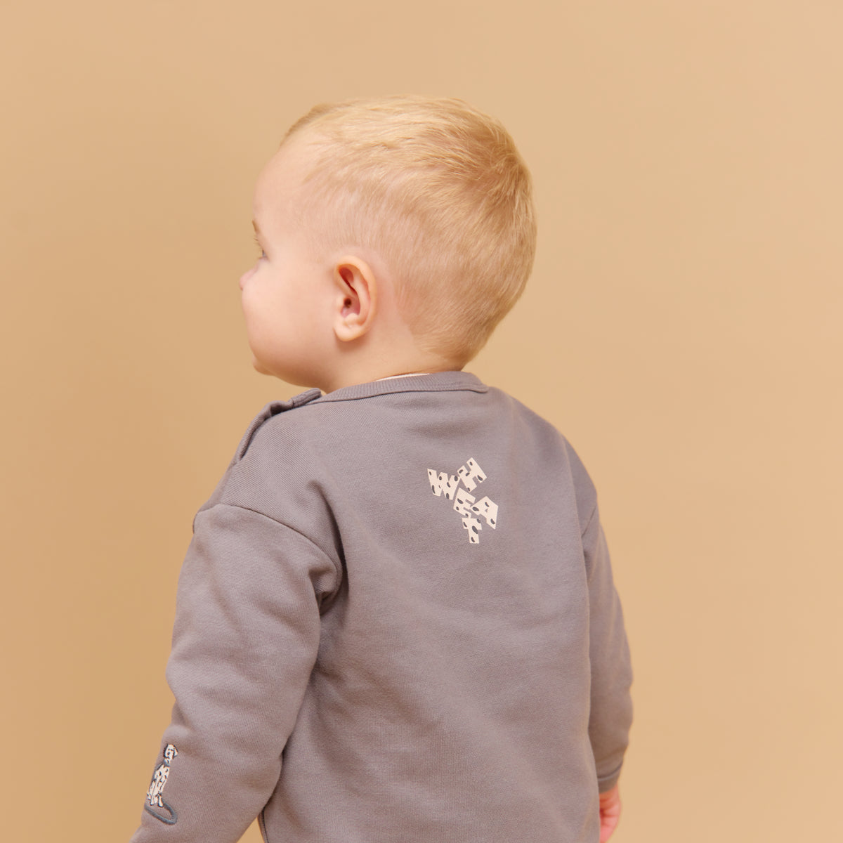 Sweatshirt Abel "Flint"