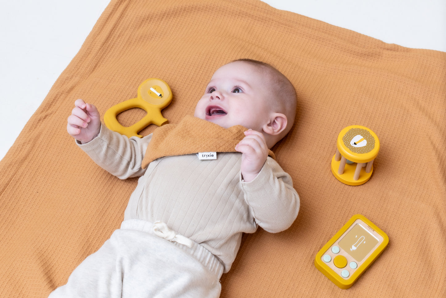 Babytelefon aus Holz und Silikon "Mr. Lion"