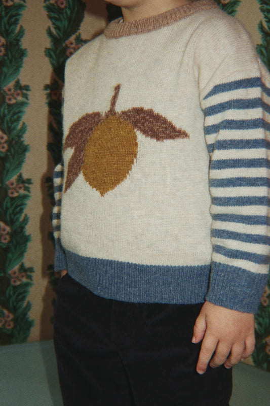 Pullover mit Wolle Billi "Lemon"