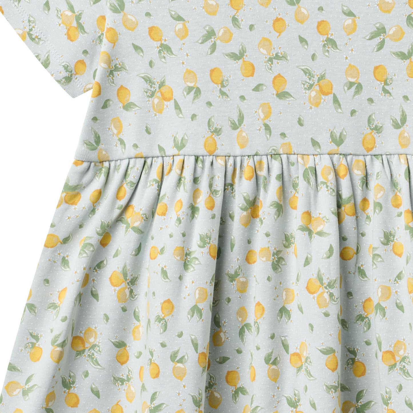 Jersey Kleid Anna "Summer Blue Citrus"