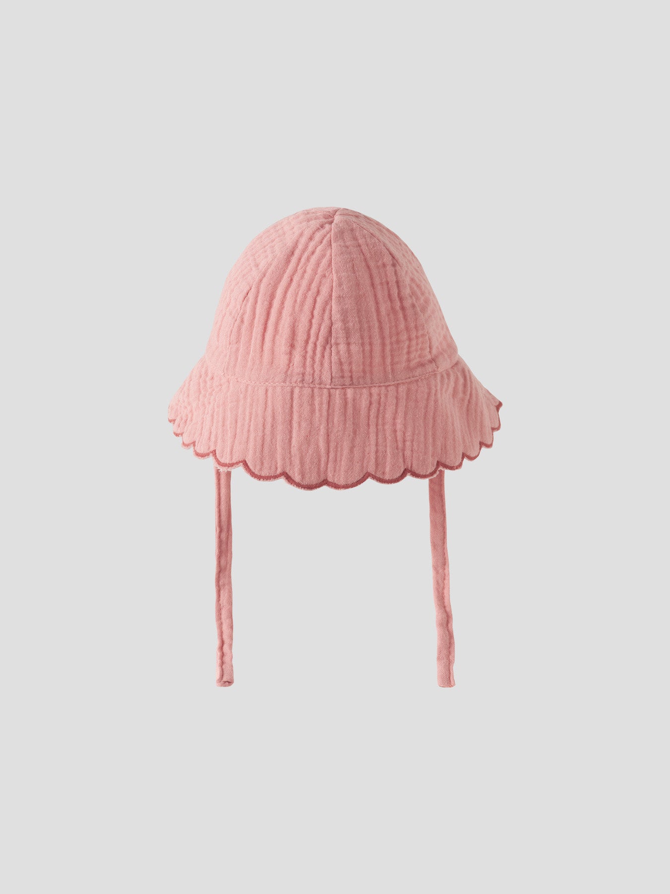 Sonnenhut Hiba "Rose Tan"